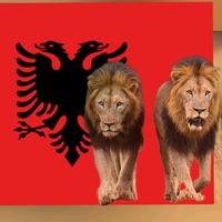 albania____5