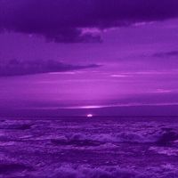 usere_667