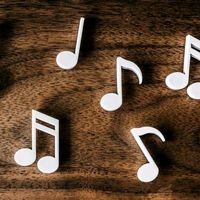 الصوت الأصلي