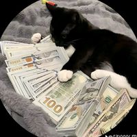 sonido original - Pieroo.ae