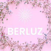 berluzxv