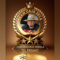yanala.jose