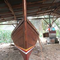 muhammadroni635