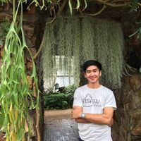 nattaphonmaliwong