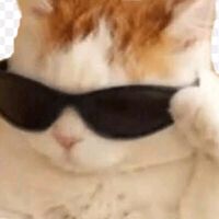 suara asli - soeganda24