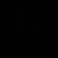 raidersf1