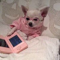 Twenty One Pilots Streesed Out