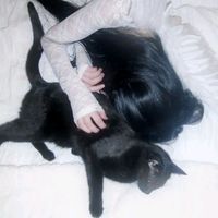 оригинальный звук