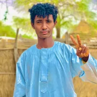 original sound - hessun55166