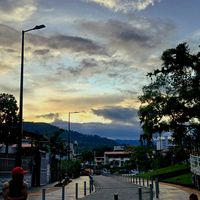 _nayel02