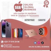 saliou.global.business