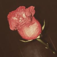 original sound - AFFORD DEALS