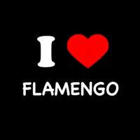 amo_o_flamengo_