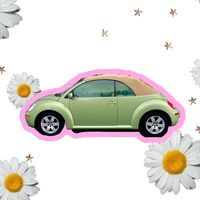 nughebuggie