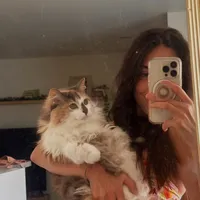 original sound - icedamericanhoe