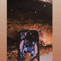 fwtx_gissy54