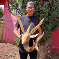 alebrijeskonkoy