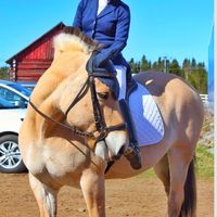 hilladressage