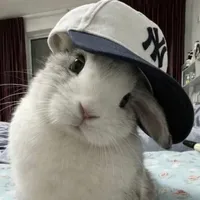 original sound - yanquandale