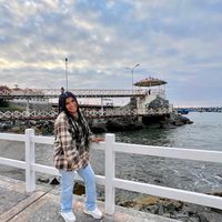 diani_fv
