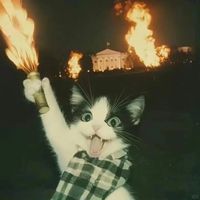 original sound - DanceFlair