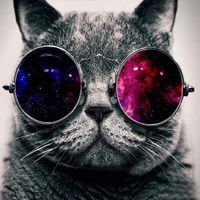 spongebobsexytimemk2