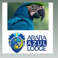 arara.azul.lodge