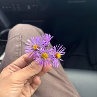 coolguyeli093