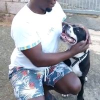 phakade87
