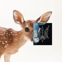 original sound - nalysnyk0