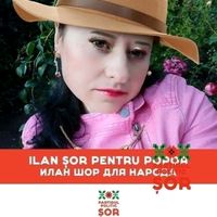 dianadamian0tiktok.comdi