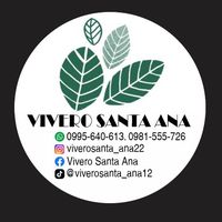 viverosanta_ana22