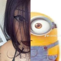 hotaurusgf