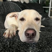 เสียงต้นฉบับ - IG : Rudee.gg