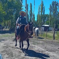 martinguevaracaudillo