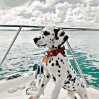 aestheticbloxburgbuildzz