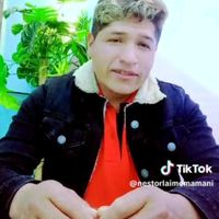 nestorlaimemamani