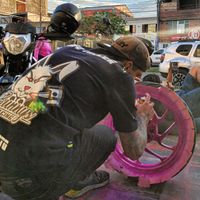 bunnysracing