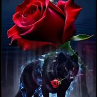 _becerra2527
