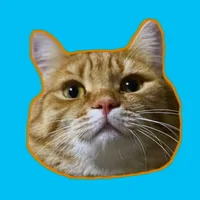 original sound - mitay_cat