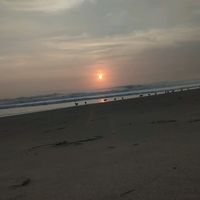 nicki_kn
