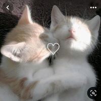 f3tchr3wardss_