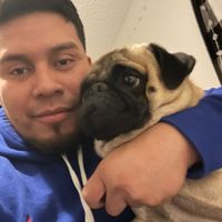 danielcoc7