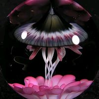 01_shiningsun_01