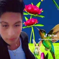 original sound - hernanchoque100501