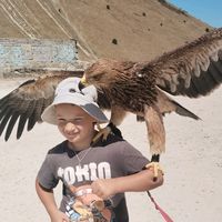 оригинальный звук