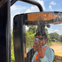 nistelberth_pulex
