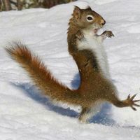 arinka_2286