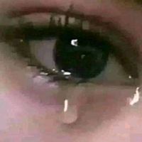 jimenacmscms