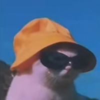 secret.acc.shush.xoxo